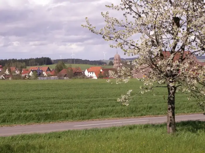 Eschbronn, Ausschnitt