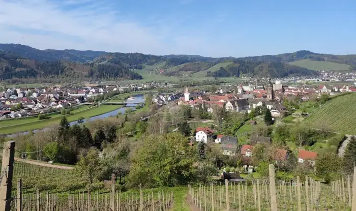 Gengenbach, Ausschnitt