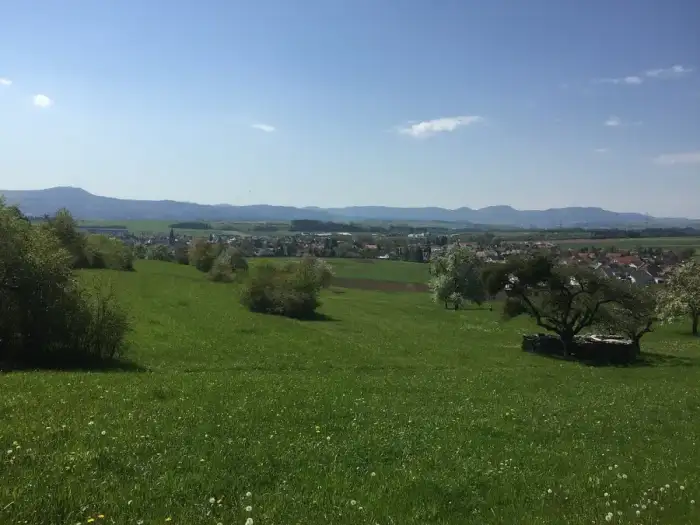 Grosselfingen, Ausschnitt