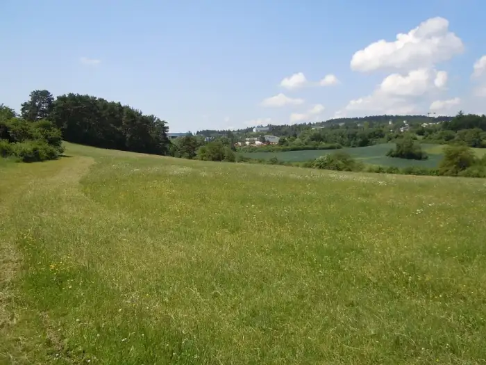 Haiterbach, Ausschnitt