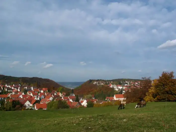 Meßstetten, Ausschnitt