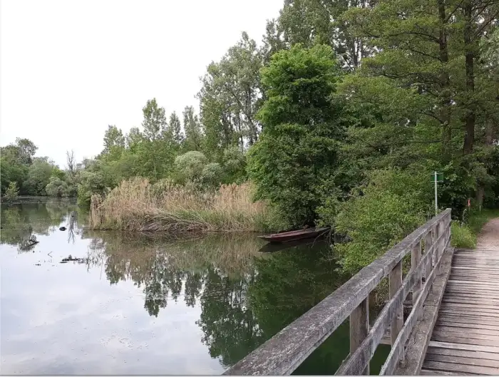 Rheinau, Ausschnitt